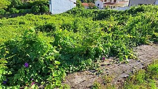 Terreno de 383 m² em Viana do Castelo