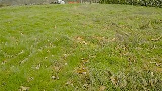 Terreno em Moimenta da Beira