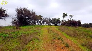 Terreno em Castro Marim · 11 720 m² · 26 000 €