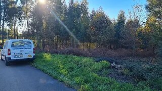 Land for sale in Pedrógão Grande, Portugal — €54,920