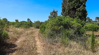 Terreno de 14 720 m² em Santarém