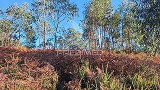 Terreno em Vila Verde