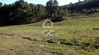 Terreno em Mangualde · 31 000 m² · 25 000 €