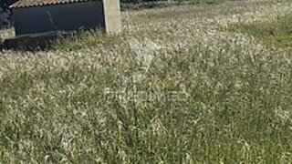 Land for sale in Palmela, Portugal — €122,500