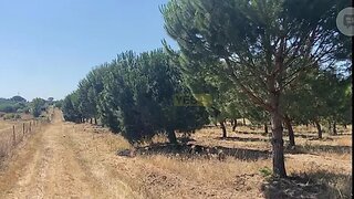 Land for sale in Vendas Novas, Portugal — €99,000