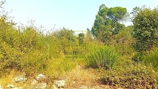Land for sale in Condeixa-a-Nova, Portugal — €56,500