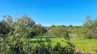 Land for sale in Torres Novas, Portugal — €35,000