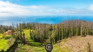 Land for sale in Porto Moniz, Portugal — €79,000