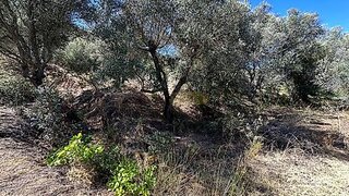 Land for sale in Silves, Portugal — €38,000