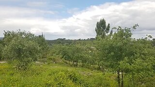 Land for sale in Condeixa-a-Nova, Portugal — €35,000