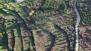 Terreno de 6490 m² em Nelas