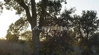 Land for sale in Horta, Portugal — €18,375