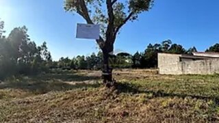 Terreno em Paredes · 3000 m² · 168 000 €
