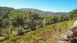 Terreno em Marvão