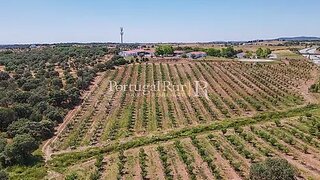 Land for sale in Estremoz, Portugal — €220,000
