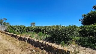 Terreno em Faro · 4240 m² · 100 000 €