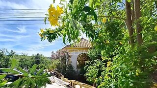 Land for sale in São Brás de Alportel, Portugal — €270,000