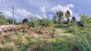 Land for sale in Tondela, Portugal — €24,900