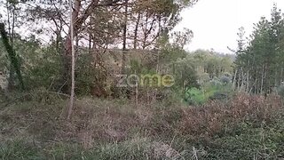 Land for sale in Soure, Portugal — €36,900