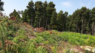 Land for sale in Vila Nova de Gaia, Portugal — €75,000