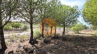 Land for sale in Alcoutim, Portugal — €21,000
