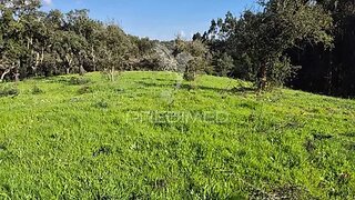 Land for sale in Santiago do Cacém, Portugal — €262,500