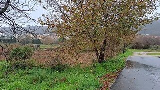 Terreno de 2125 m² em Viana do Castelo
