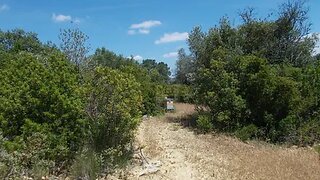 Land for sale in Torres Novas, Portugal — €7,400