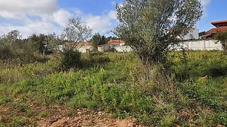 Land for sale in Alcobaça, Portugal — €45,000