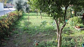 Land for sale in Arganil, Portugal — €34,900