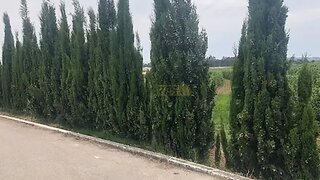 Land for sale in Alcobaça, Portugal — €57,500