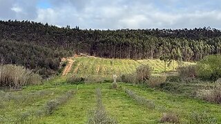 Land for sale in Torres Vedras, Portugal — €55,000