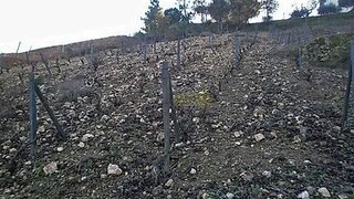 Terreno em São João da Pesqueira