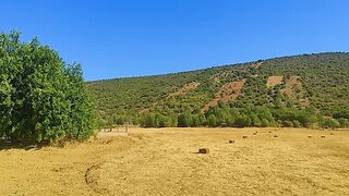 Land for sale in Loulé, Portugal — €150,000