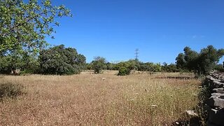 Land for sale in São Brás de Alportel, Portugal — €50,000