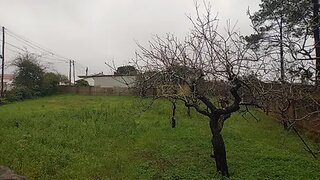 Land for sale in Alcobaça, Portugal — €42,000