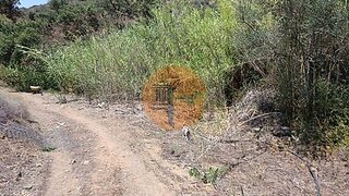 Land for sale in Castro Marim, Portugal — €7,500