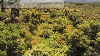 Land for sale in Vila Velha de Ródão, Portugal — €7,750