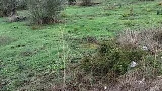 Land for sale in Tomar, Portugal — €44,000