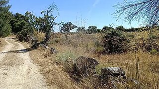 Land for sale in Penamacor, Portugal — €10,700