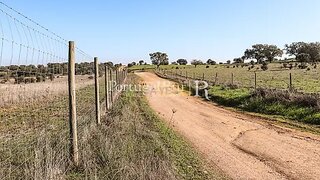Land for sale in Alandroal, Portugal — €40,000