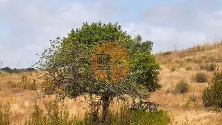 Land for sale in Castro Marim, Portugal — €84,900
