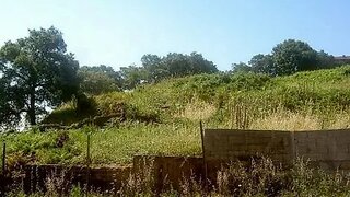 Terreno em Porto · 5000 m² · 1 500 000 €