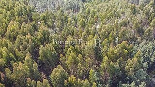 Land for sale in Proença-a-Nova, Portugal — €35,000