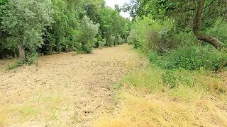 Land for sale in Lousã, Portugal — €45,000