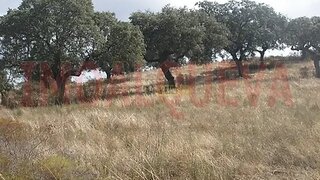 Terreno em Mourão
