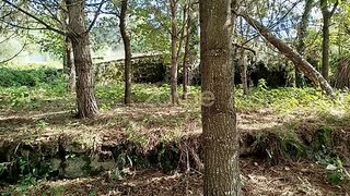 Land for sale in Tondela, Portugal — €35,000