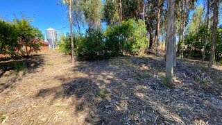 Terreno para venda em Tondela, Portugal — 50 000 €