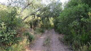 Terreno para venda em Odemira, Portugal — 165 000 €