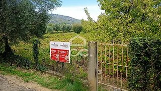 Land for sale in Lamego, Portugal — €124,500
